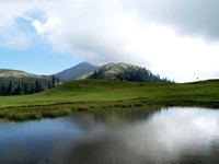 Makara Pakistan